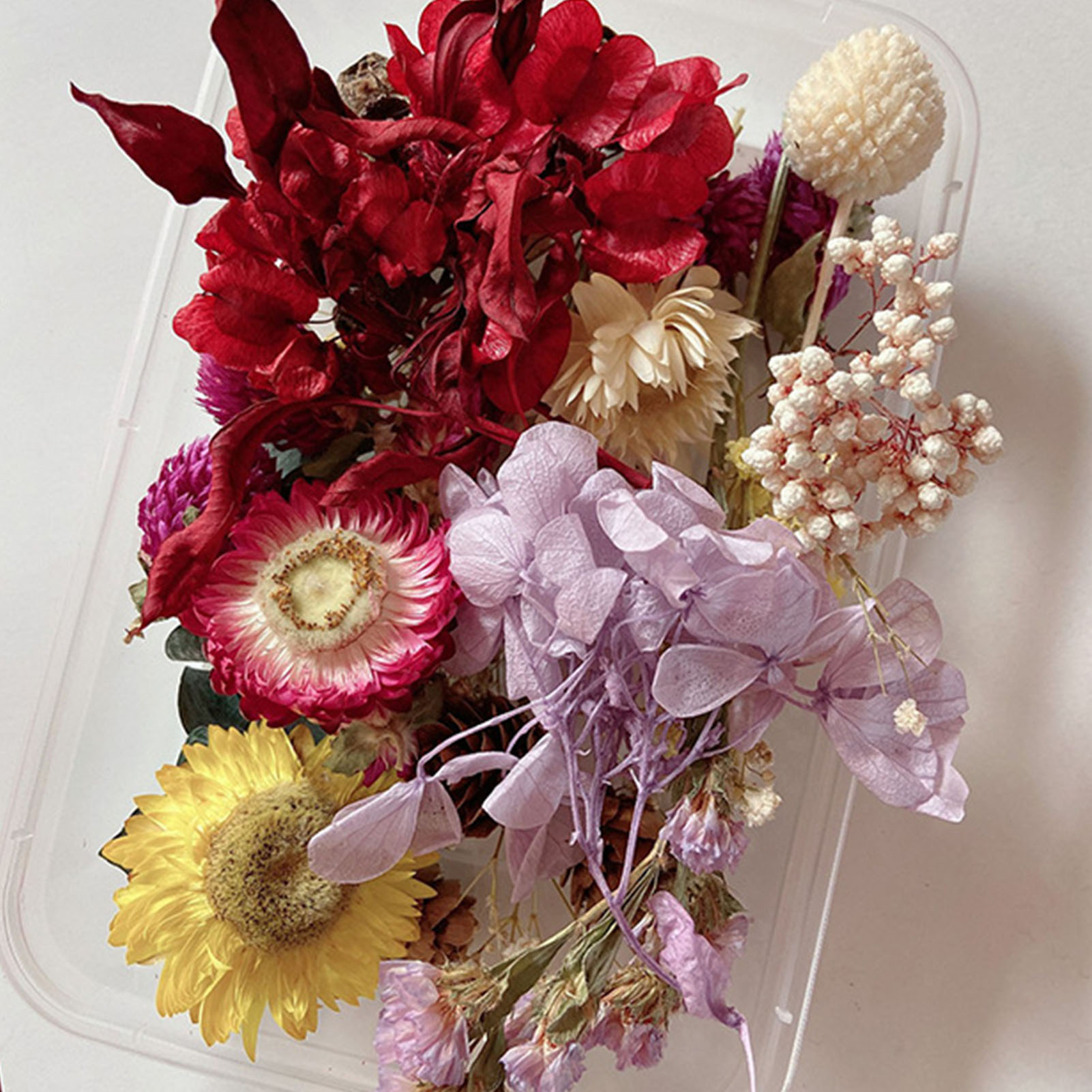 Natural Dried Flower Kit Press - Candle Making Kit ulasan dan harga