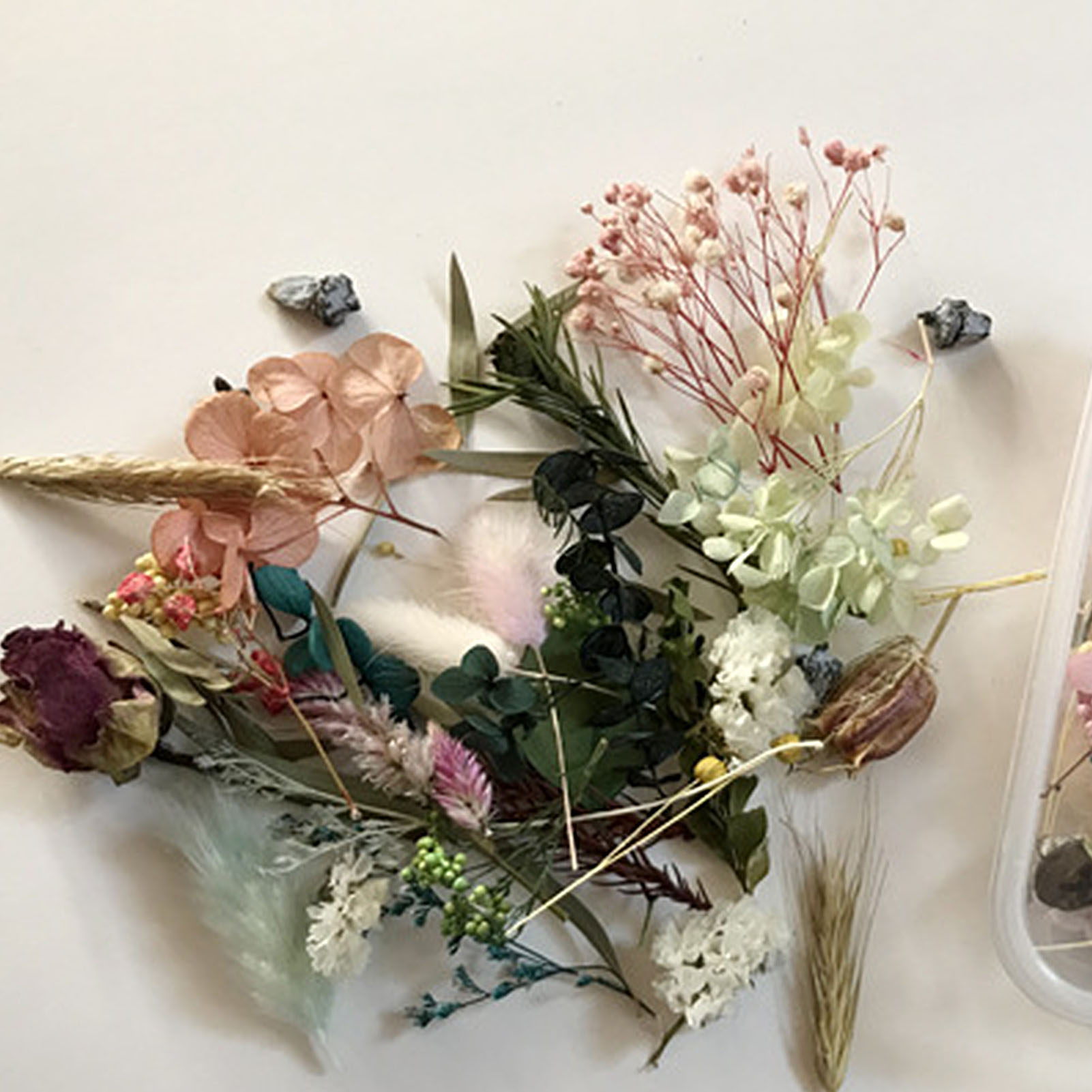 Natural Dried Flower Kit Press - Candle Making Kit ulasan dan harga